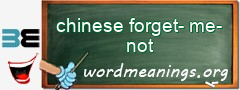 WordMeaning blackboard for chinese forget-me-not